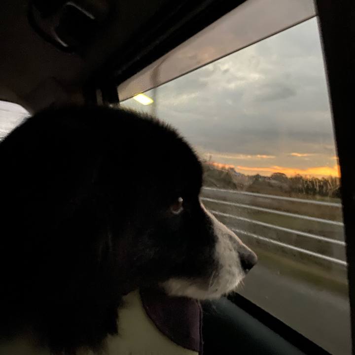 85da1260 f707 4766 9dca 480be5024464 1671487511426