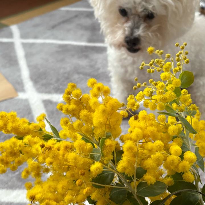 85da2af4 72b1 4430 991b d18ec07daaf5 1741003661432