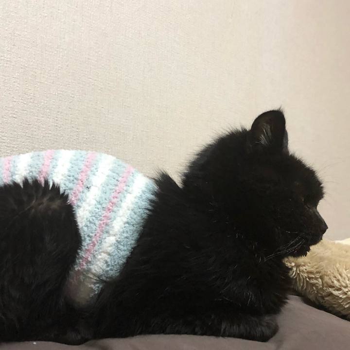 85da3195 a610 42d6 b739 e5ed97d1d8d3 1644317372986