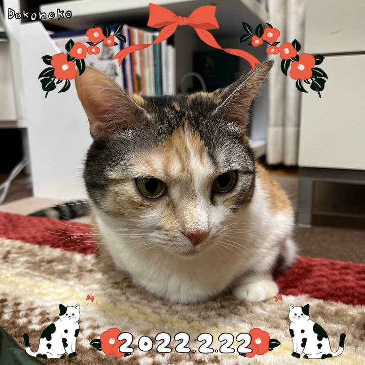 85da3803 dec0 4762 8b98 4b50ecc77725 1645528581712