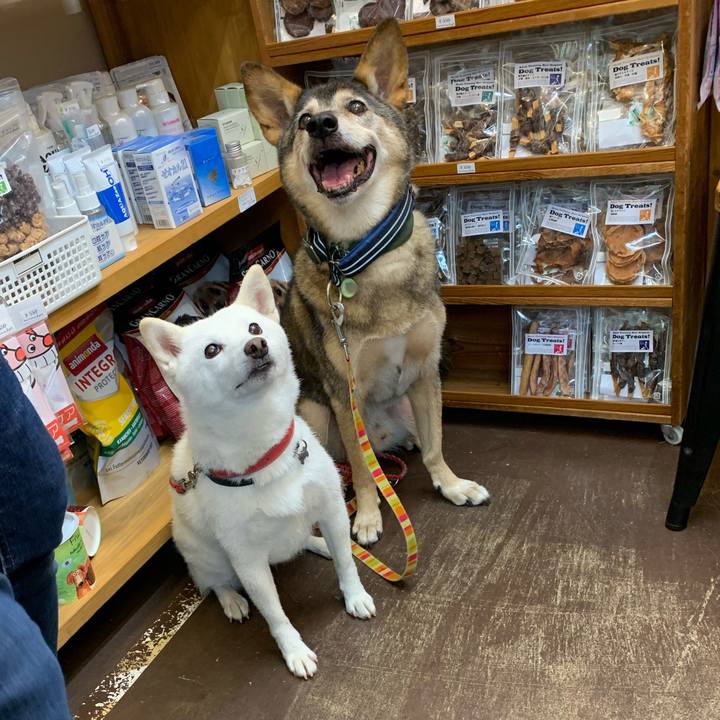 85da6a61 58d2 467e bc94 00819940b4b5 1571040639191