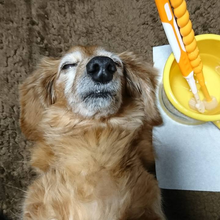 85dafa31 6459 4d33 a05d 76ea1707339a 1516124412136