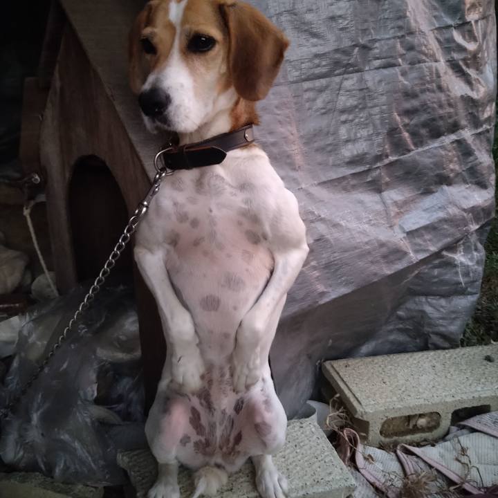 85db4d5e 8f52 41d2 901e 58f42ddca43e 1665021693577