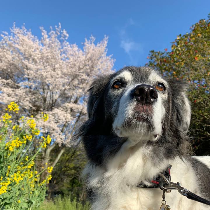 85db94a8 1450 4009 a1df a1fb994a6933 1617623556573