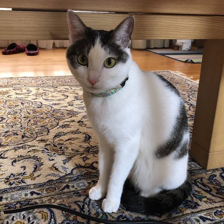 85dbc95f d994 4102 a146 b0bf81dc1f03 1636962236132