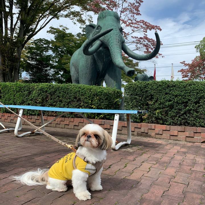 85dbd7a0 7805 4389 993c 05a7ee81db4d 1603029034480