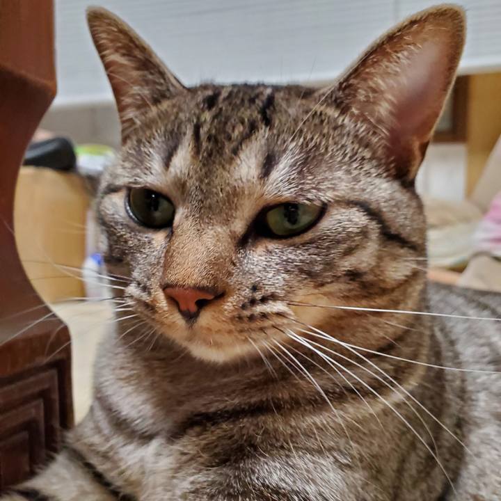 85dbe8d2 ffe6 4d81 b745 b5b0bed64309 1704637317454