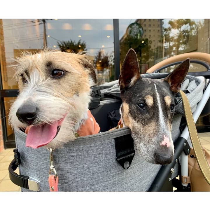 85dbed24 1d7a 4e9e bdcf 5f6a2d2416cc 1622895967325