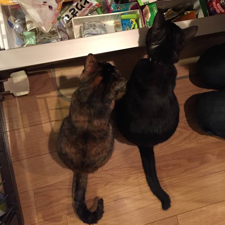 85dbf251 6232 4281 ab53 36647a0472f8 1516542283300