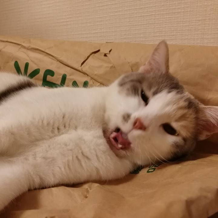 85dc093b cf40 44b8 b1dd b9124621e9c2 1555510026858