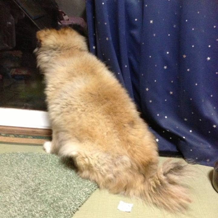 85dc0c96 af44 493f ae44 351710ee77fe 1565572206577