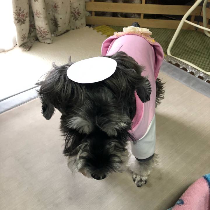 85dc24be 6121 4f5a a485 0e9ade10c52c 1634951991263