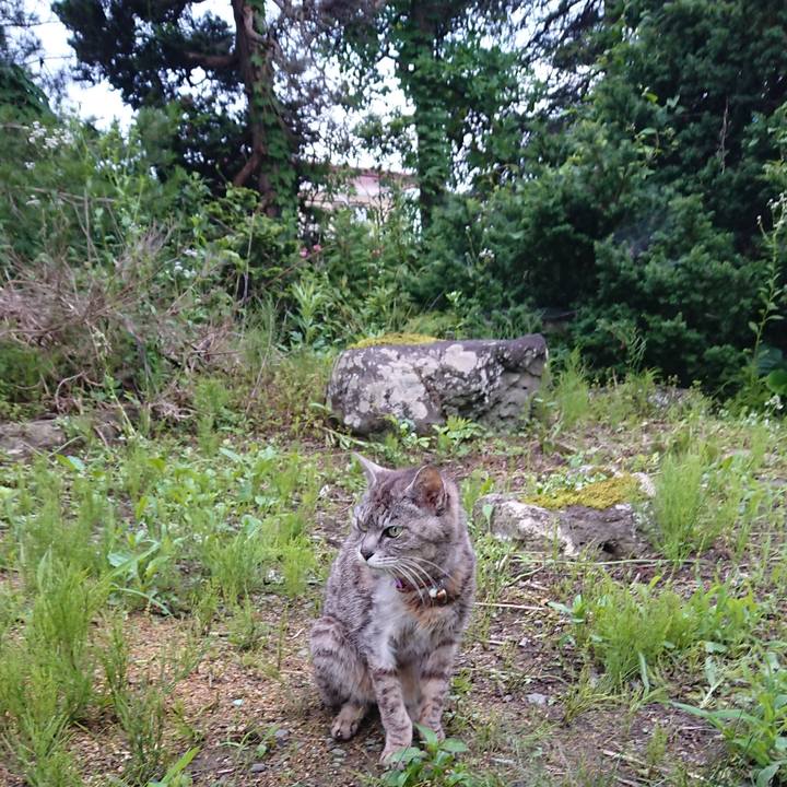 85dc38d2 bc20 463e 970d 504a72b4ba1d 1594586660212