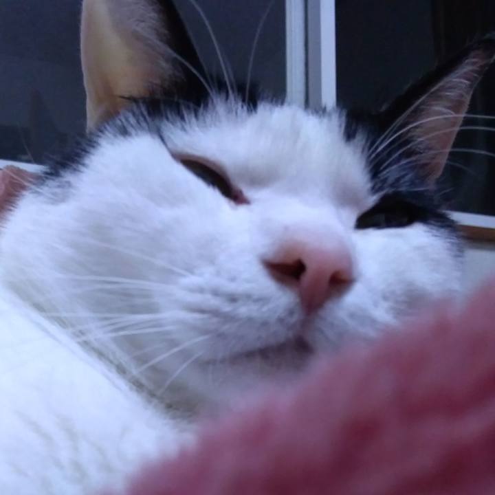 85dc4491 6b0f 41aa 89b7 55ce25a65969 1519042195328