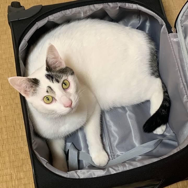 85dc4810 e64d 42b7 b6e5 1616b3181d00 1708525465631