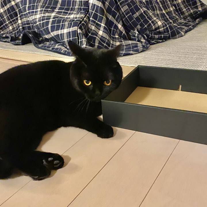 85dc65a7 5de1 4b44 930e 9115f5d43ae1 1641550879612