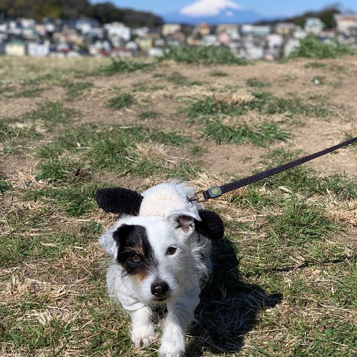 85dc6a3d d0c8 4e42 9bf9 529954003378 1710981135004