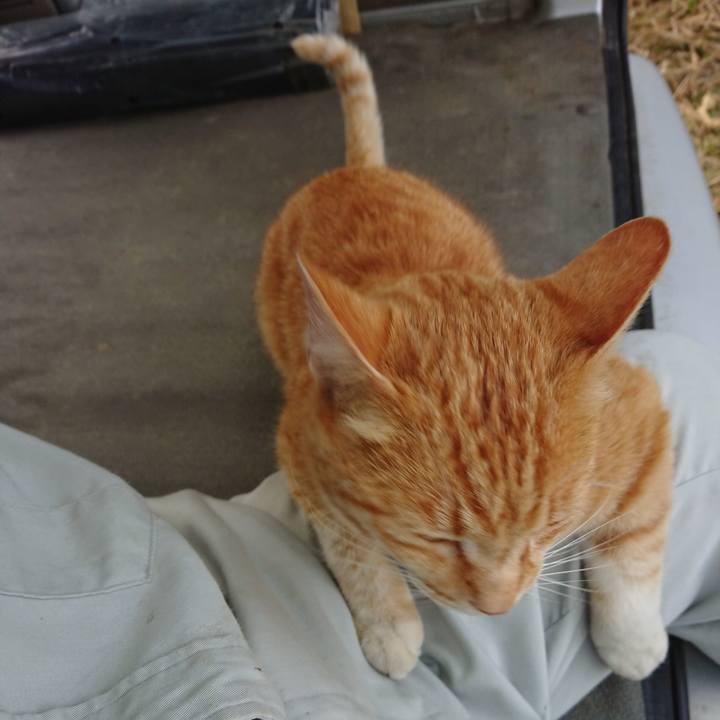 85dc75cc 6b52 4997 9d59 48e0eb95fa5f 1591263849287