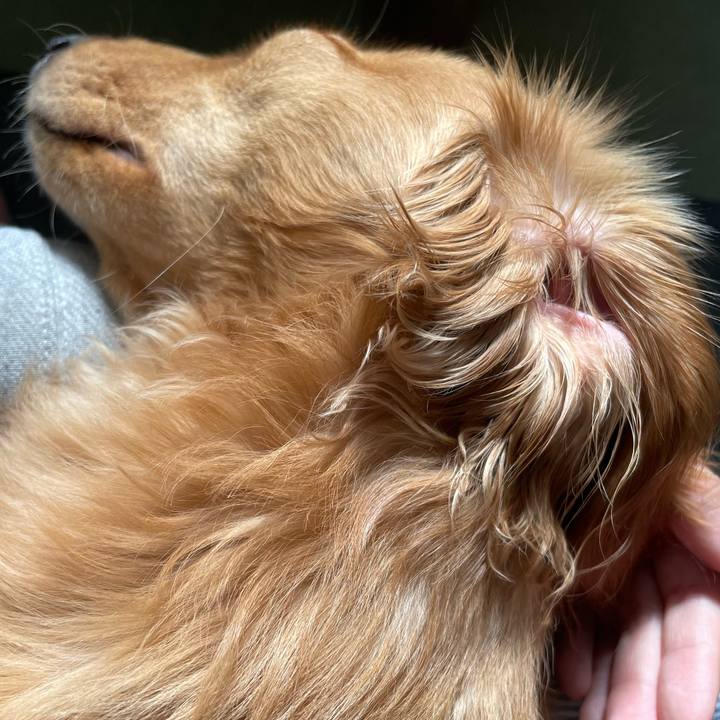 85dc7b9a 307c 4dda a3c2 e8e739fca267 1690440988420