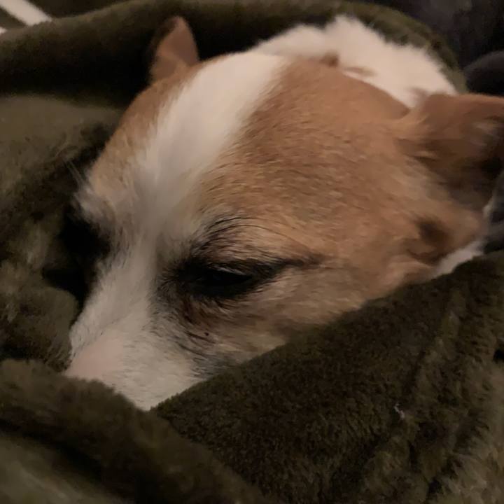 85dccb97 31d6 444d 8998 553e9058bcf7 1646749593029