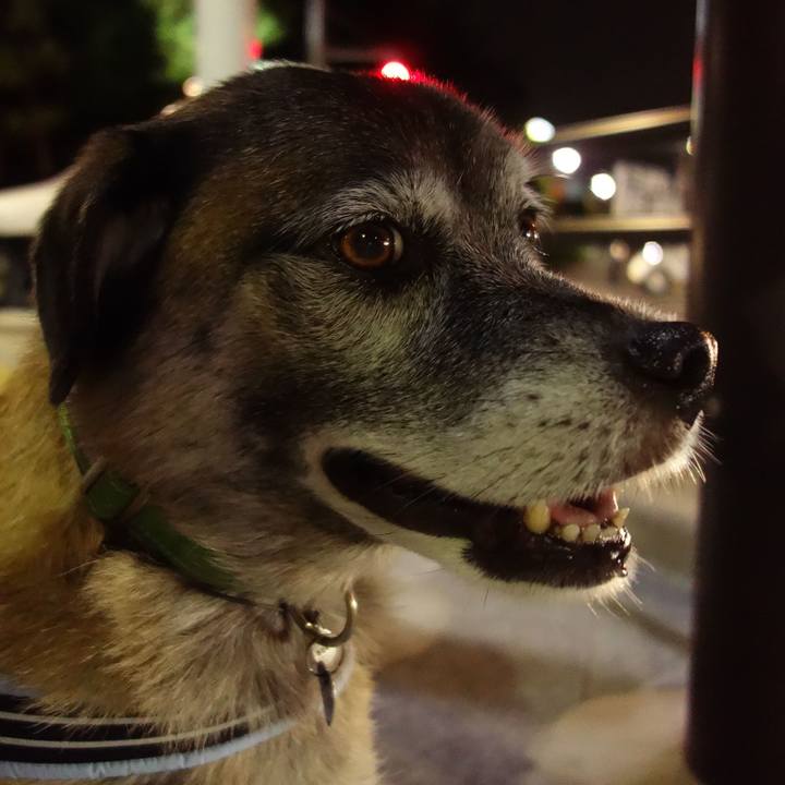 85dccbb8 1f44 4e98 8fd0 e5f879dafee4 1537361287011