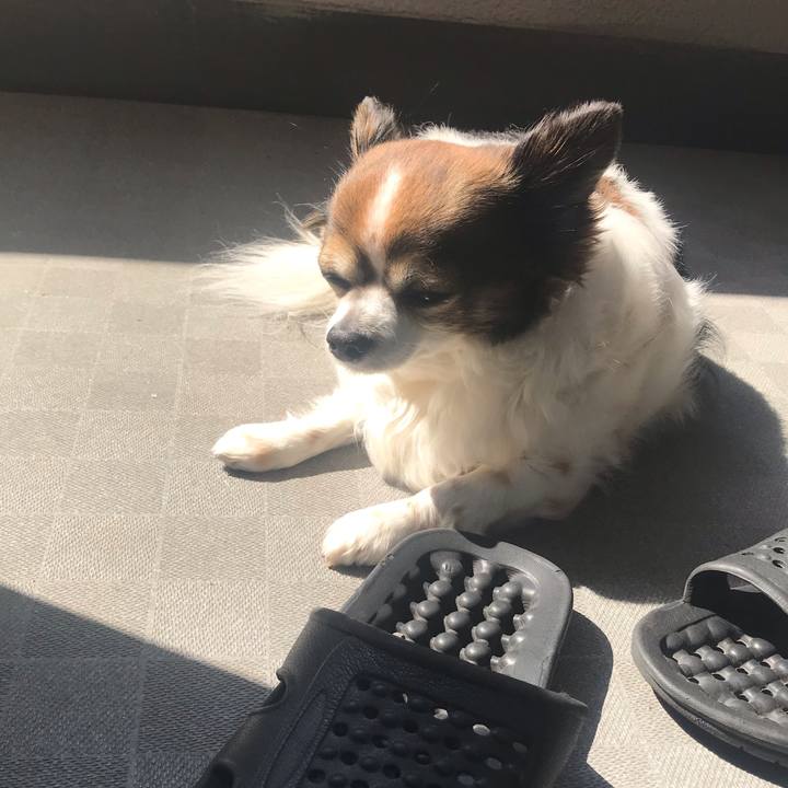 85dd765f 30d8 4b3a a0ab da1a43ad0704 1678929398942