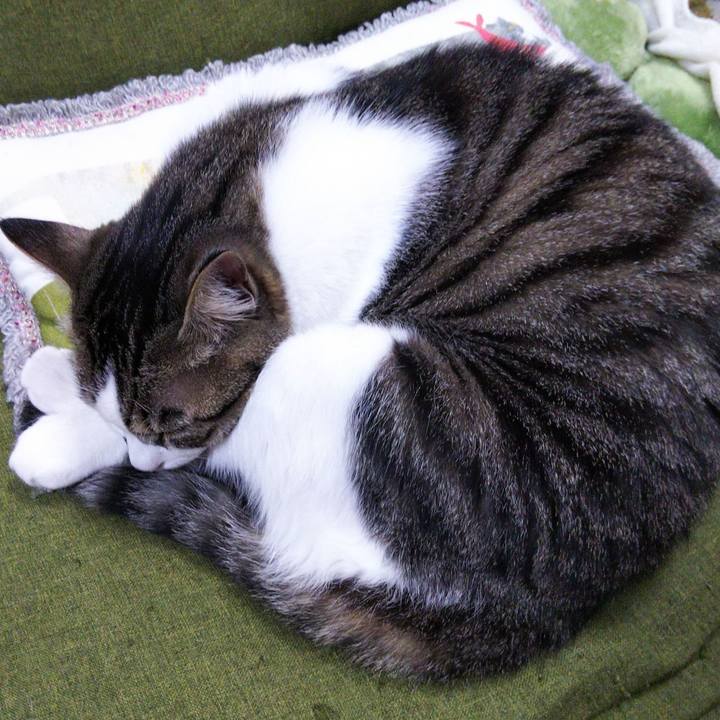 85dd7858 afab 47e9 9419 37675b5e6e7c 1651407950419