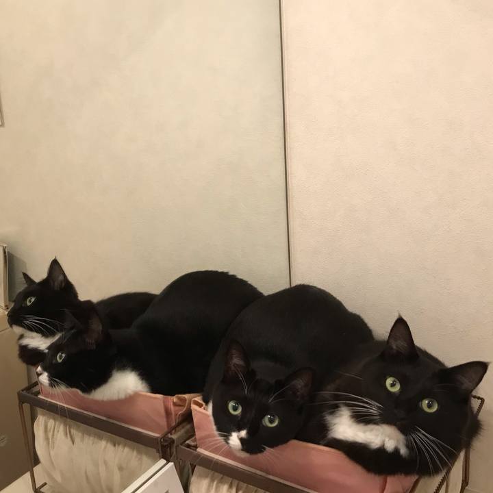 85dd793e 1b41 4d5d b996 f53f6f9e89fa 1542583505891