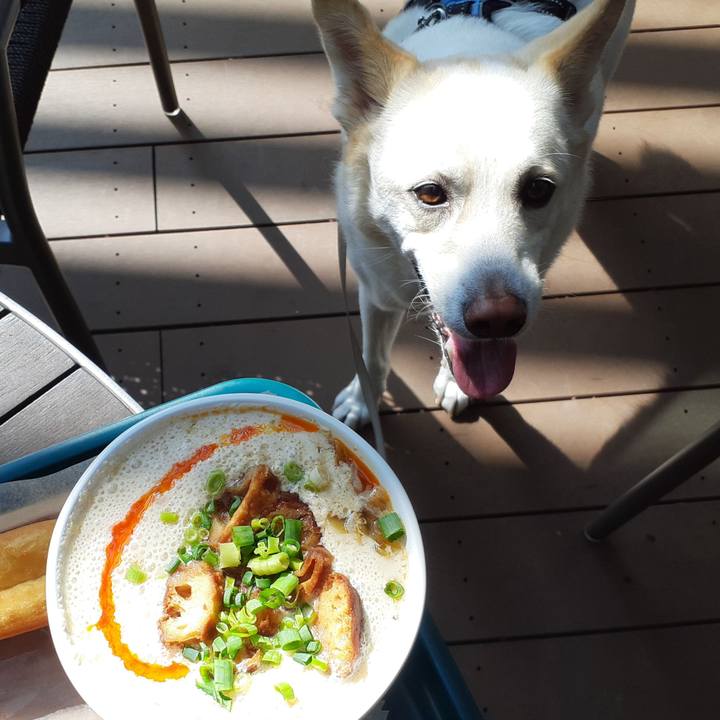 85dda1e3 4dc0 488e 819c 59dde31521c2 1684647039848