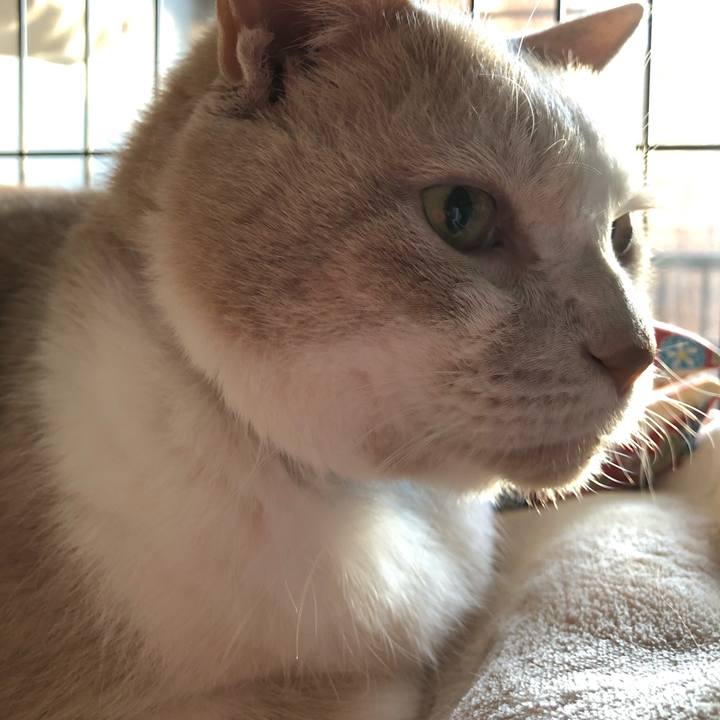 85ddd22c f347 4da8 868b 4855a51d1c07 1606775246925