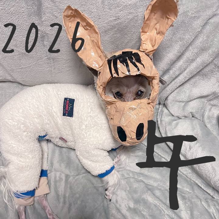 85ddf410 e343 41f9 8b51 3c1eb72bd53b 1767225061952