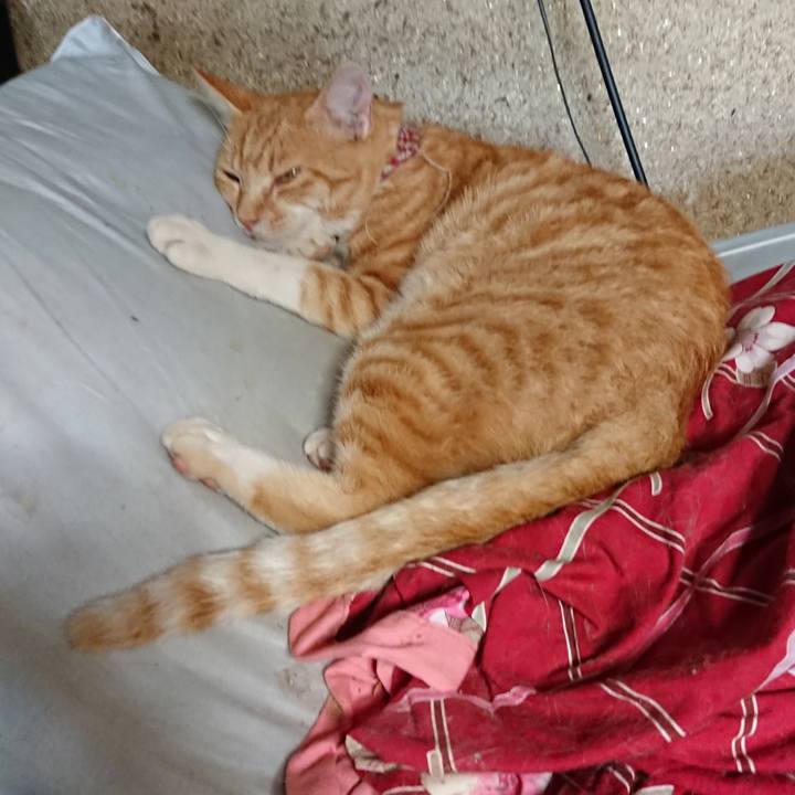 85de0373 ac7b 466e acf8 dc919ce8370f 1562982069968