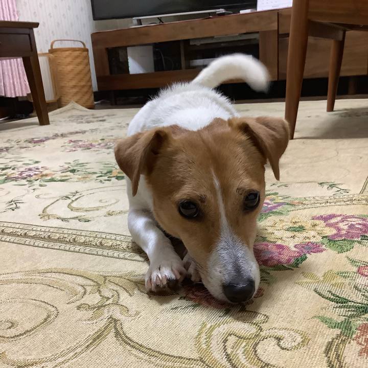 85de43c8 1463 4bd6 9427 3933f645397e 1563360951881