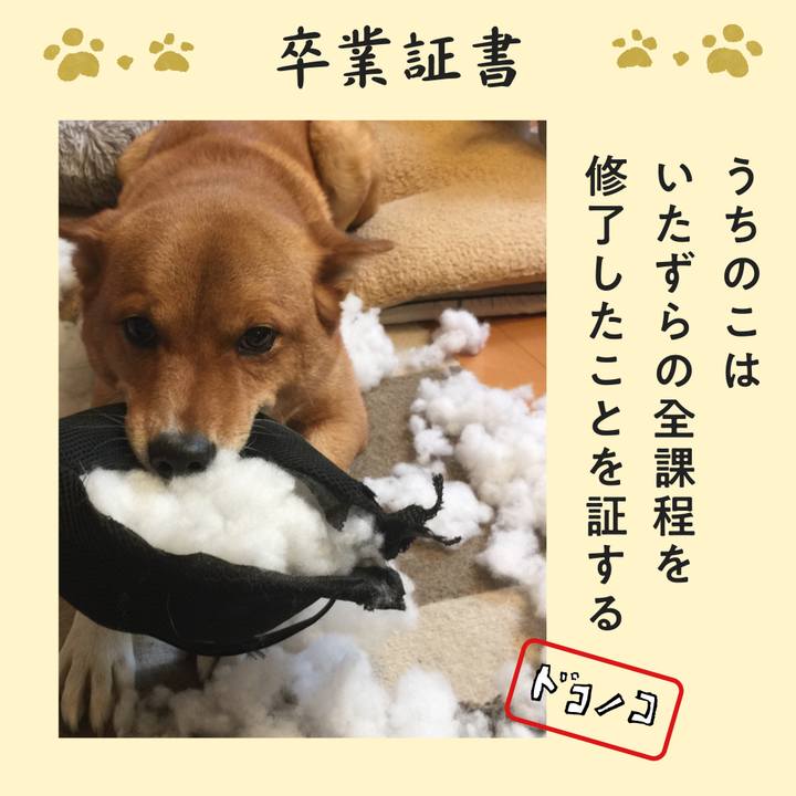 85de55db c2d5 4e79 8b37 e8b8c667a368 1771980982678