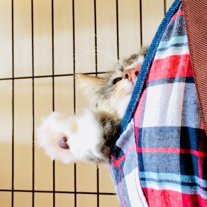 85de8399 ec74 4376 9c0d efee2fbddfb4 1525739429570