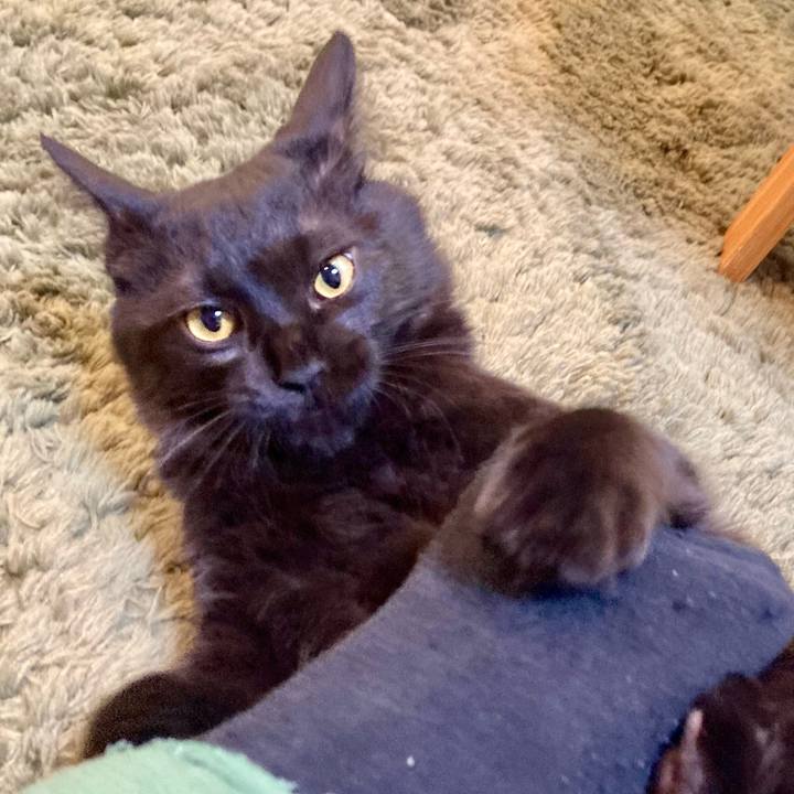 85deccd3 9fef 4662 91e7 f0a1c4a977e0 1708866307258