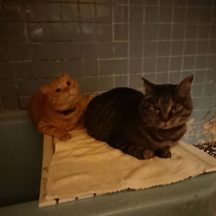 85defd03 5b68 4b61 9ac4 122de018c1c3 1656157135955