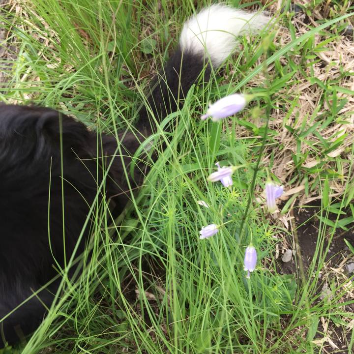 85df2038 f3fe 49a1 b655 62662f237d03 1537184656638