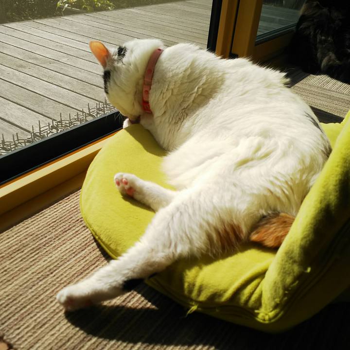 85df30a3 0145 4204 ae81 affb4ccd36b4 1540006182715