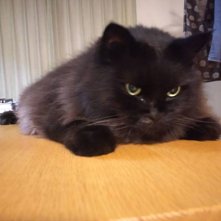 85df63b2 a43b 4045 a78a 1744294b2c55 1568630194489