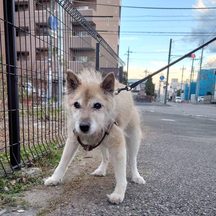 85df7416 7e1f 47c5 a9a0 c49b394cb7c3 1642405851778