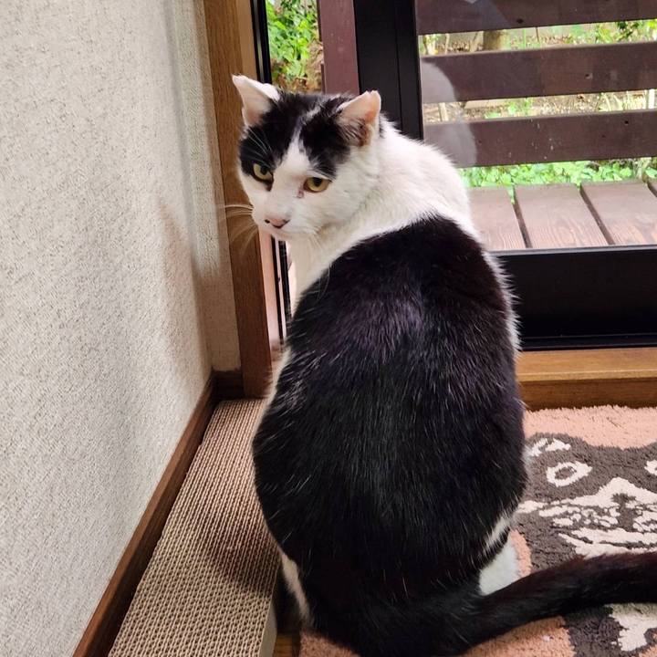 85df8984 f829 4cd6 87f0 ceb23ec56a1d 1777181625032