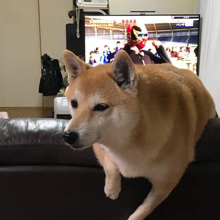 85dfa9bc d702 4f63 9dab b4a11bf9fa09 1515243042162