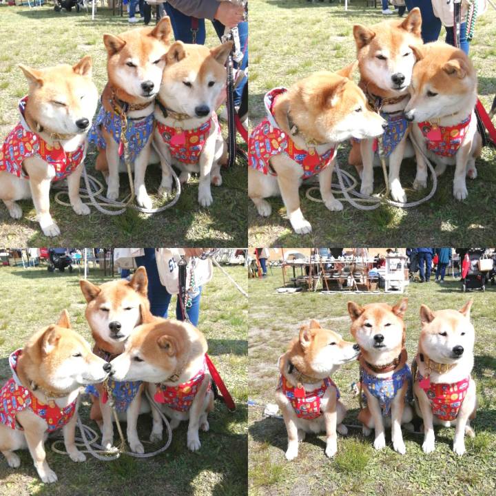 85dfd6c6 2f43 49da 8578 2c5d7c3eb762 1682479507913