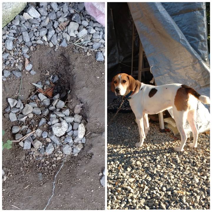 85dfee85 283b 4a3c 9fd6 0b0a3e58ed7a 1604808254613