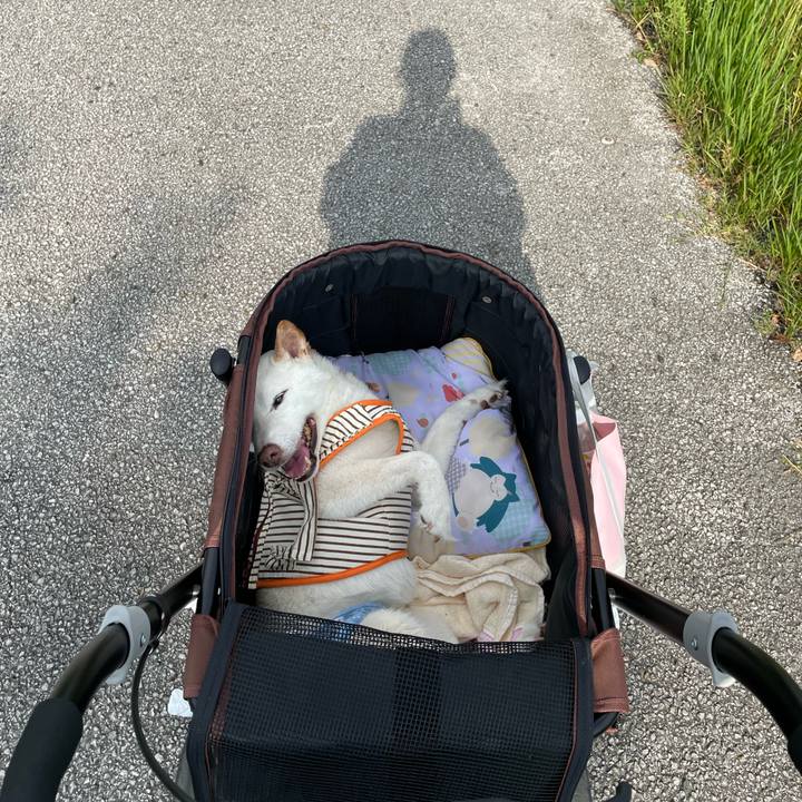 85e05b09 c992 4ad3 b8e5 05a186f57858 1655903457410