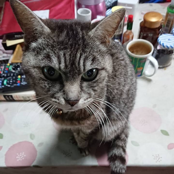 85e070be 6e09 4969 a1f1 1e057649af96 1553768015053