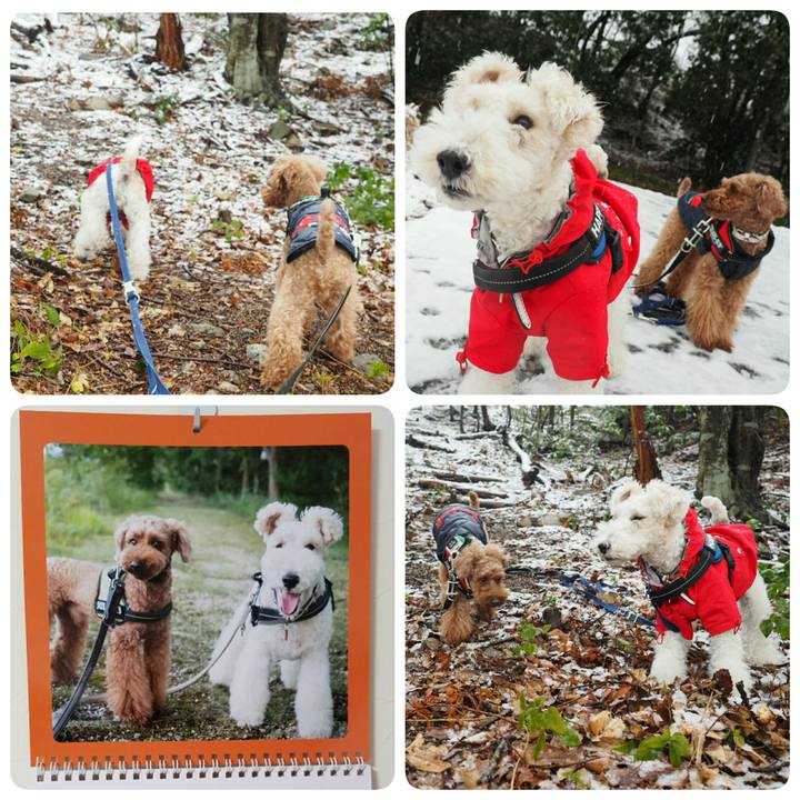 85e070bf a932 43a8 890d 6ba09301cc4a 1514992234971