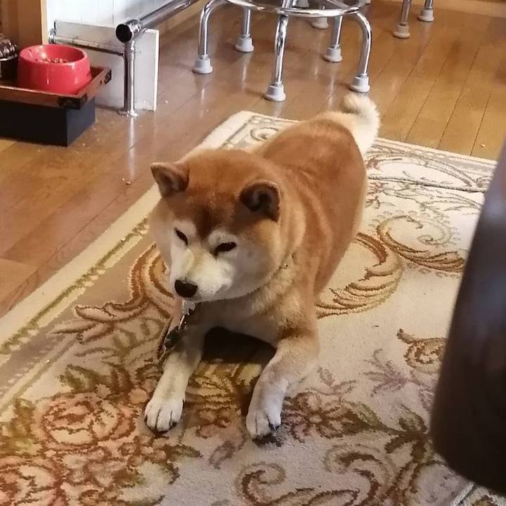 85e07c2b ef08 45e1 b02c 1dfc737cf2bc 1589088366921