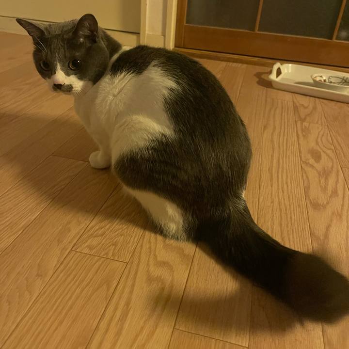 85e07ca5 442e 4216 a1de 40a8059d473a 1645352601914